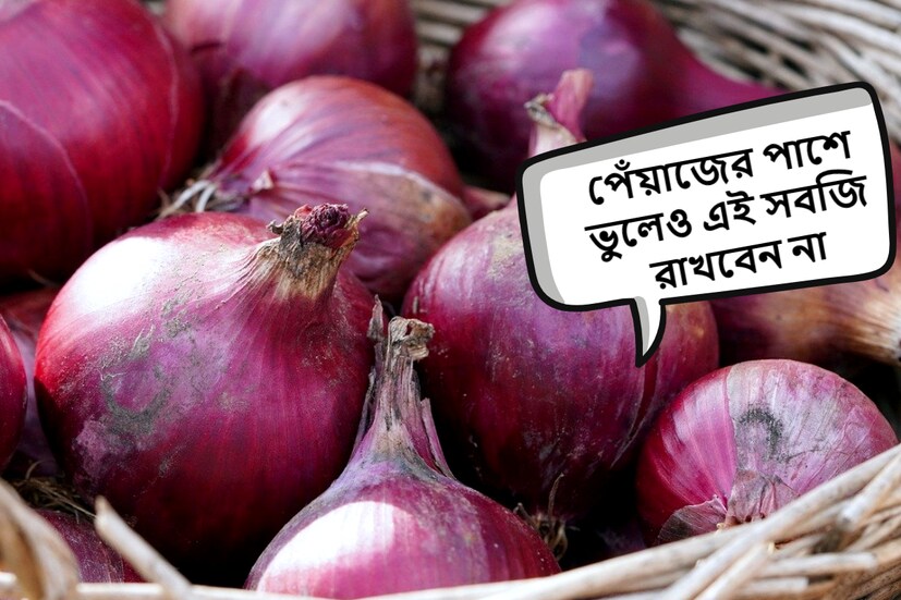আমরা সবাই জানি যে সবজি টাটকা রেখে তারপরেই খাওয়া উচিত। কিন্তু তাজা ফল ও শাকসবজির একটি বড় সমস্যা আছে যে এগুলো দ্রুত নষ্ট হয়ে যায়। অনেকেই ফ্রিজে শাকসবজি সংরক্ষণ করে রাখেন। কিন্তু আমরা ফ্রিজে পেঁয়াজ রাখি না সাধারণত। 