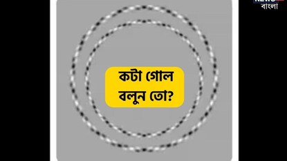বলুন তো মোট কটা গোল দেখতে পাচ্ছেন? বলুন তো মোট কটা গোল দেখতে পাচ্ছেন?