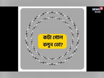 বলুন তো মোট কটা গোল দেখতে পাচ্ছেন?