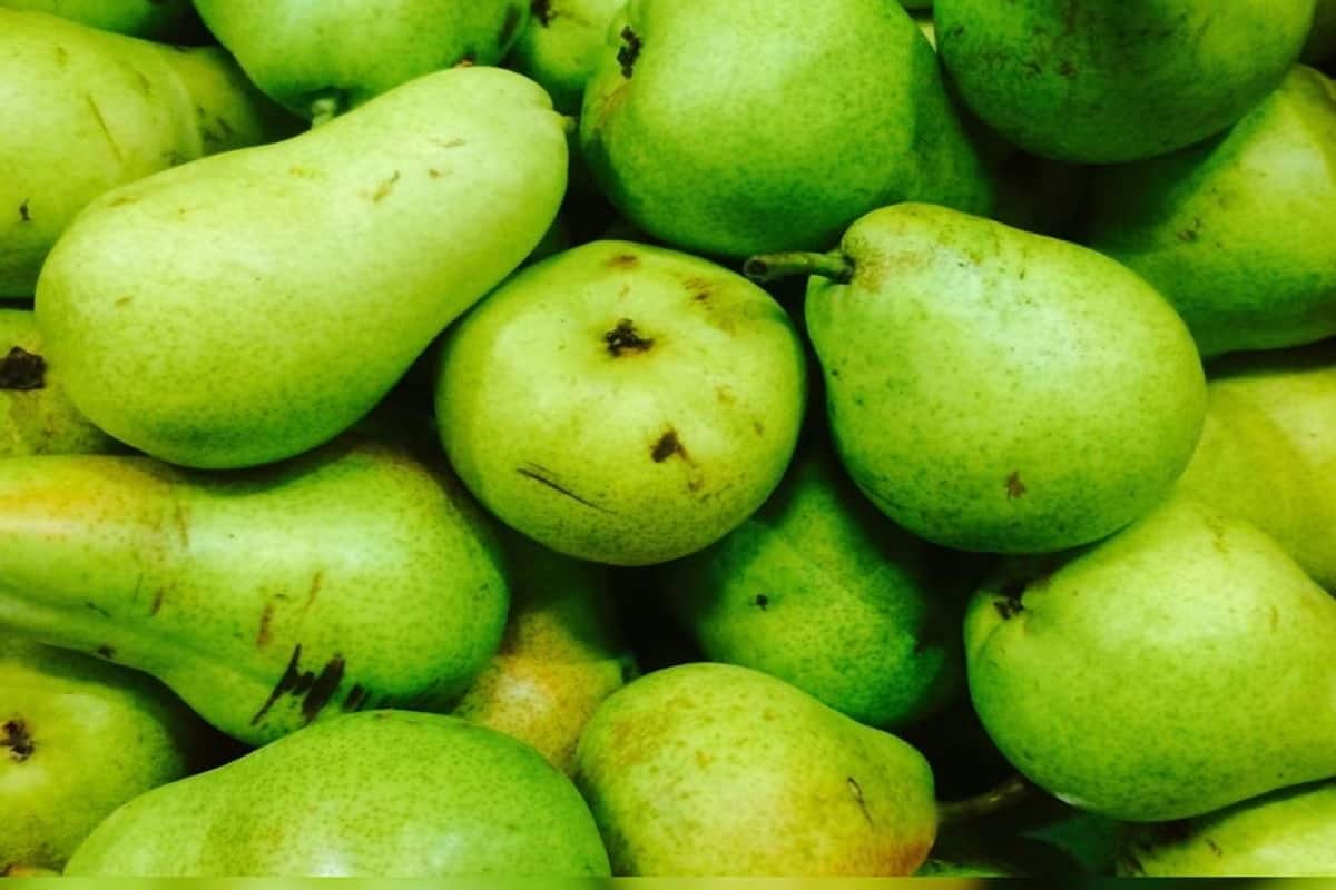 Pears Health Benefits in Diabetes Control Diabetes Control Tips