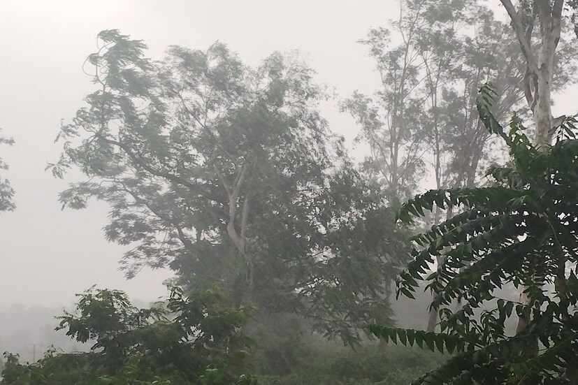 বুধবার ২৩ অগাস্ট অতি ভারী বৃষ্টির কমলা সতর্কতা বা অরেঞ্জ অ্যালার্ট জারি করা হয়েছে  দার্জিলিং, কালিম্পং, আলিপুরদুয়ার, কোচবিহার, জলপাইগুড়ি জেলায়। ভারী বৃষ্টির হলুদ সতর্কতা, মালদহ, উত্তর ও দক্ষিণ দিনাজপুর জেলায়।