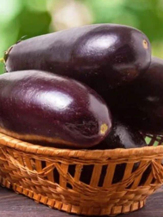 বেগুন বেগুনের বীজ ফিতাকৃমির আঁতুড়ঘর৷ বেগুনের বীজে অনেকসময় ফিতাকৃমির ডিম পাওয়া যায়৷ 