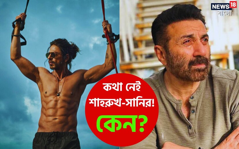 এই সোশ্যাল মিডিয়ার যুগে আপনি কোনওদিন শাহরুখ খান ও সানি দেওলকে একসঙ্গে দেখেছেন? কখনও কথা বলতে, কোনও অনুষ্ঠানে কোথাও কি তাঁদের একসঙ্গে দেখেছেন? না, দেখেননি। কারণ, প্রায় ২০ বছর হয়ে গেল শাহরুখ খান ও সানি দেওল একে অপরের সঙ্গে কথা বলেন না। কিন্তু কেন?