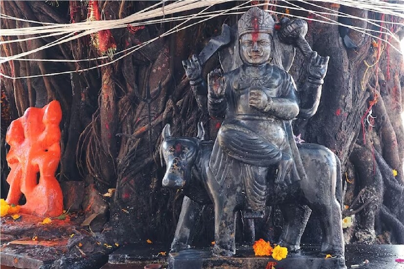 কুকুরের সেবা শনিবার হল শনি মহারাজকে খুশি করার সেরা দিন, এই দিনে কালো কুকুরের সেবা করলে শনিদেব প্রসন্ন হন৷ যদি কালো কুকুর নাও পান তাহলে যে কোনও কুকুরের সেবা করে শনিদেবকে খুশি করতে পারেন। যারা কুকুরের সেবা করেন তাদের প্রতি শনিদেব সর্বদা সন্তুষ্ট হন এবং তাঁদের উপর নিজের আশীর্বাদ দেন৷