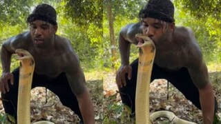 সাপের কপালে চুমু খেলেন এক ব্যক্তি! তারপর যা হল, না দেখলে বিশ্বাস করতে পারবেন না!