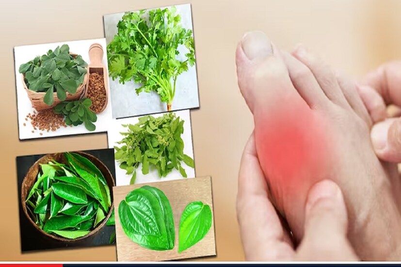 ন্যাশনাল ইনস্টিটিউশন অফ হেল্থের মতে শরীর থেকে ইউরিক অ্যাসিড দূর করতে ধনে পাতা খুবই কার্যকরী বলে মনে করা হয়। ধনে পাতা ভাল করে পিষে নিয়ে তা জলে মিশিয়ে পান করতে হবে। এই পানীয় খুব তাড়াতাড়ি ইউরিক অ্যাসিডের মাত্রা নিয়ন্ত্রণ করতে সাহায্য করবে। ন্যাশনাল ইনস্টিটিউশন অফ হেল্থের মতে শরীর থেকে ইউরিক অ্যাসিড দূর করতে ধনে পাতা খুবই কার্যকরী বলে মনে করা হয়। ধনে পাতা ভাল করে পিষে নিয়ে তা জলে মিশিয়ে পান করতে হবে। এই পানীয় খুব তাড়াতাড়ি ইউরিক অ্যাসিডের মাত্রা নিয়ন্ত্রণ করতে সাহায্য করবে।