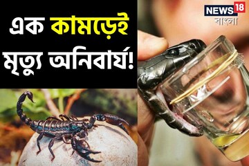 এক কামড়েই মৃত্যু অনিবার্য!অথচ কোটি কোটি টাকার মালিক বানাতে পারে ছোট্ট এই প্রাণী