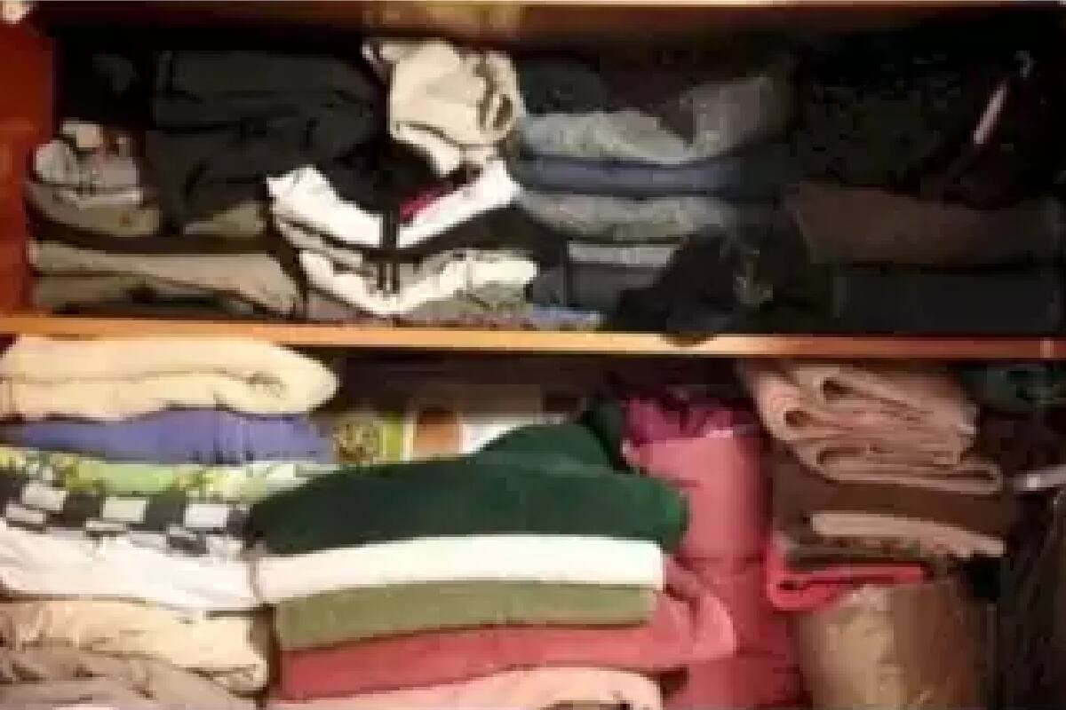 গা-ঢাকা দিয়েছে ছোট্ট বিড়াল, খুঁজে পেলেন?