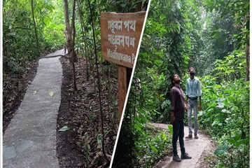 ঘন