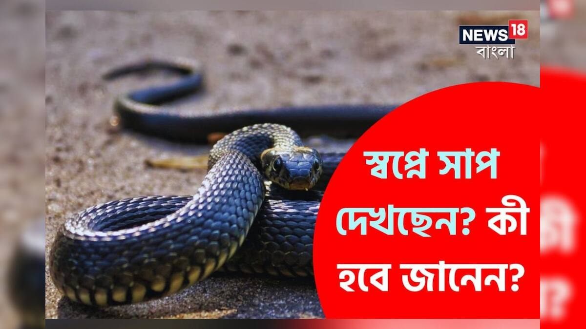viral। offbeat। viral news। offbeat news। dream। dream definition। snake। snake in dream। dream