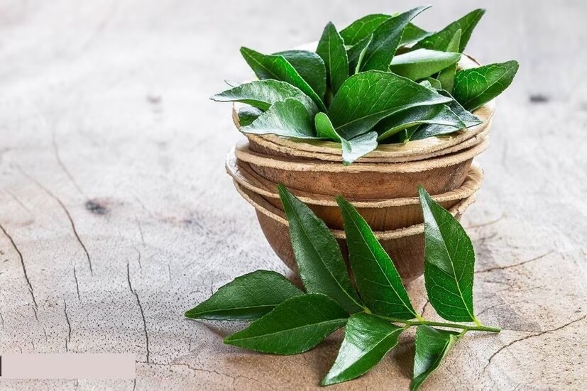 যদি সময় থাকে ধোওয়া কারিপাতা ৩-৪ দিন কড়া রোদে রেখে শুকিয়ে নিন। তার পর এয়ারটাইট কন্টেনারে ভরে রাখুন রান্নাঘরে বা ফ্রিজে।