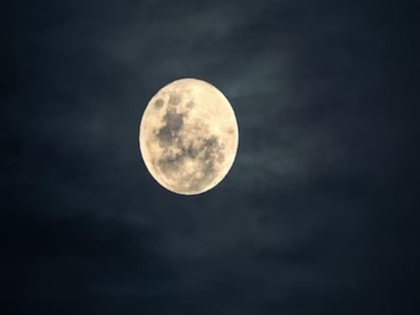 শ্রাবণী পূর্ণিমায় বহু ভক্তের বাড়িতে সত্যনারায়ণ পুজো ও ব্রতপালনও করা হয়৷