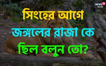 সিংহের আগে 'জঙ্গলের রাজা' কে ছিল...? জানেন 'সঠিক' উত্তর? মিলিয়ে দেখুন তো!