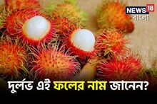 ত্বক, চুলের সমস্যা নিমেষে দূর করে এই ফল! দুর্লভ এই ফলের নাম জানেন? জেনে নিন