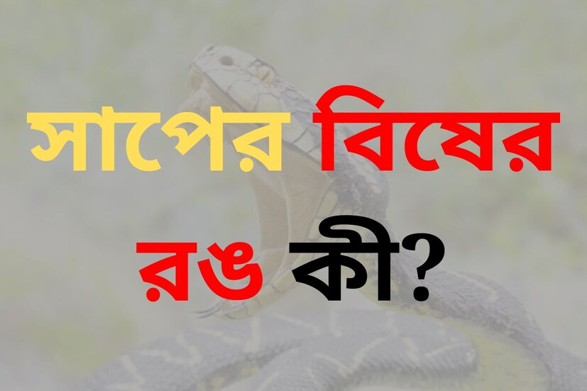 সাধারণ জ্ঞান এমন একটি জ্ঞান যা প্রত্যেক মানুষের জীবনেই জরুরি। প্রতিযোগিতামূলক পরীক্ষায় প্রায়ই এই সব প্রশ্নের মুখে পড়ে মাথা চুলকোতে হয় পরীক্ষার্থীদের। আজ এই প্রতিবেদনে এমনই কিছু প্রশ্ন তুলে ধরা হল যা সাধারণ জ্ঞান বাড়াতে আপনাকে সাহায্য করবে।