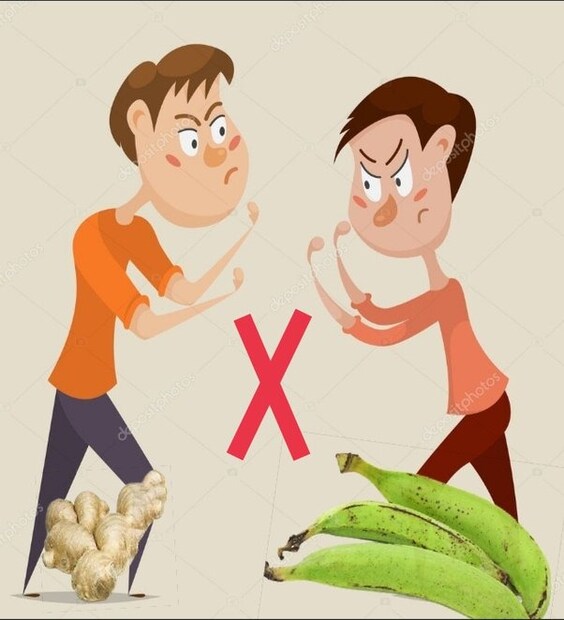 আবার অনেকে বলেন, কাঁচাকলায় আদা দিলে তার স্বাদ তিতকুটে হয়৷ এই একাধিক বৈপরীত্য মিলিয়ে বৈরিতাকে বলা হয় আদায় কাঁচকলায় সম্পর্ক৷ ( ছবি : সোশ্যাল মিডিয়া)