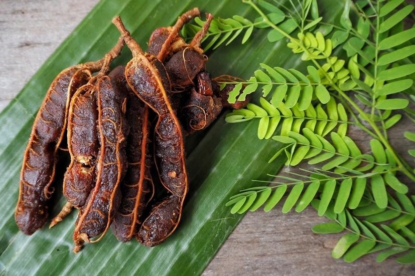 তেঁতুল সবার প্রিয় হওয়ার প্রধান কারণ হল এর টক স্বাদ। কিন্তু তেঁতুলের এমন অসংখ্য উপকারিতা রয়েছে যা আমরা কল্পনা করতে পারি না। এক নজরে দেখে নিন-