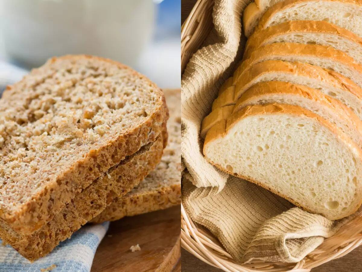 White Bread vs Brown Bread হোয়াইট ব্রেড নাকি ব্রাউন ব্রেড? কোনটা বেশি