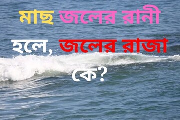 মাছ তো জলের রানী...! তাহলে 'জলের রাজা' কে বলুন তো? কল্পনাও করতে পারবেন না উত্তর!
