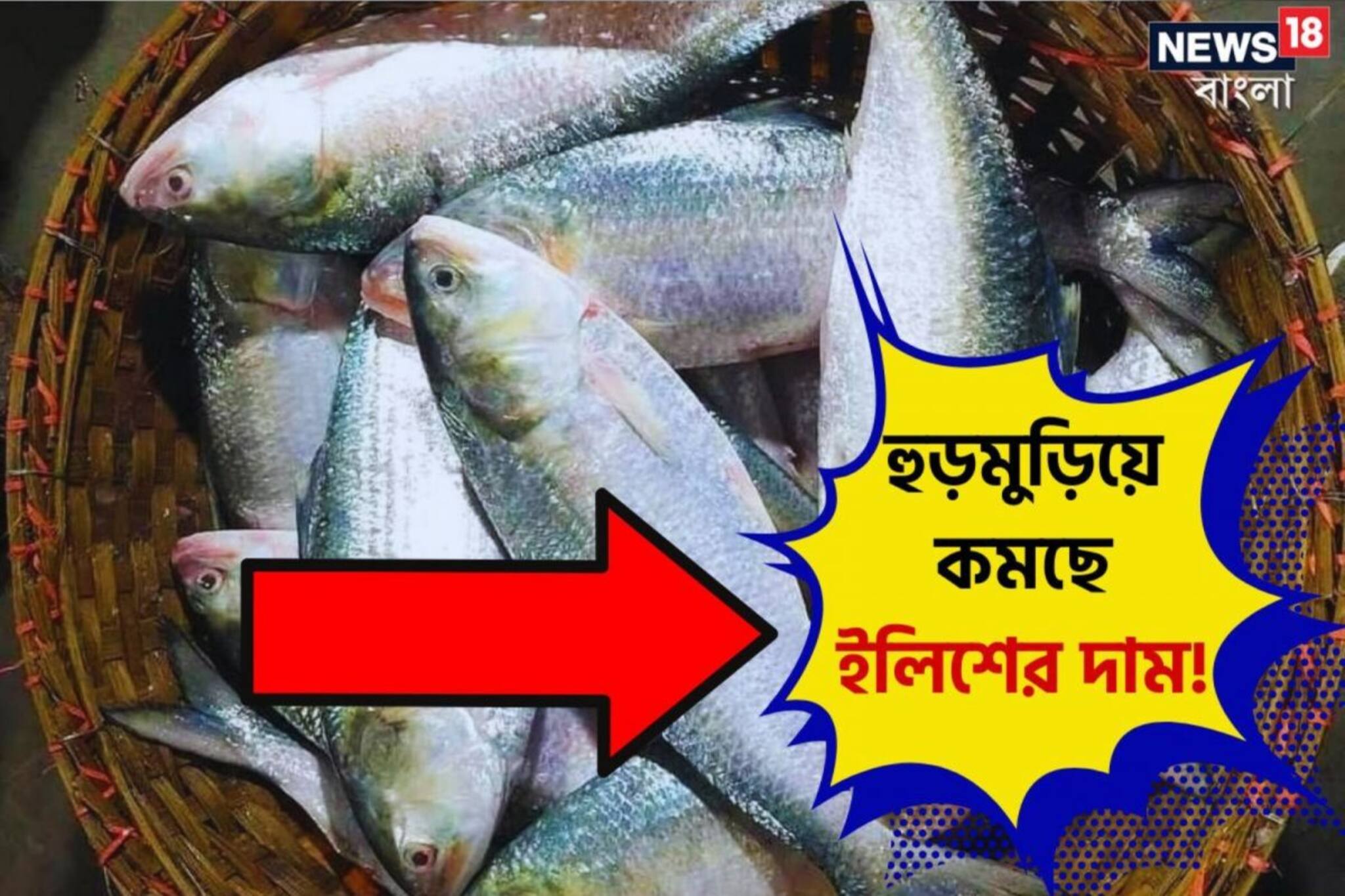 সুখবর! সুখবর! ২০০-৩০০ টাকা কমল ১ কেজির ইলিশ...! আজকের রেট কত?