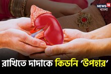 কিডনি দিয়ে দাদার জীবন রক্ষা বোনের! রাখি পূর্ণিমায় দাদাকে অমূল্য উপহার