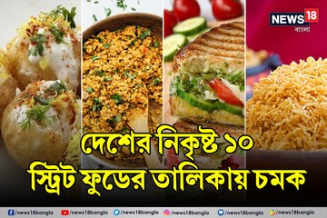 আপনার জিভে জল আনে অথচ নিকৃষ্ট খাবারের শীর্ষে! দেশের ১০ স্ট্রিট ফুডের তালিকায় চমক
