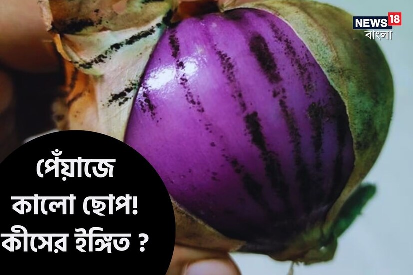 ভাল-মন্দ রান্না করতে পেঁয়াজ খুবই গুরুত্বপূর্ণ। শুধুই তো স্বাদ নয়। পেঁয়াজের অনেক গুণও রয়েছে যা আমাদের হজম শক্তি বাড়াতে সাহায্য করে। রক্তে শর্করার মাত্রা নিয়ন্ত্রণ করতে, রোগ প্রতিরোধ ক্ষমতা বাড়াতে সাহায্য করে। মানুষের শরীরে কিছু সাধারণ অ্যালার্জির সমাধানও করে এই পেঁয়াজ।