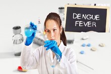 Dengue Vaccine: এবার ডেঙ্গির গেম ওভার, ১ বছরের মধ্যে তৈরি হবে ভ্যাকসিন