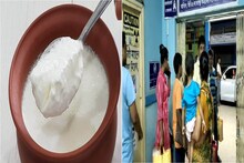 দই খেয়ে কাত! অসুস্থ খোদ স্বাস্থ্য অধিকর্তাও, হাসপাতালে ভর্তি দলে দলে