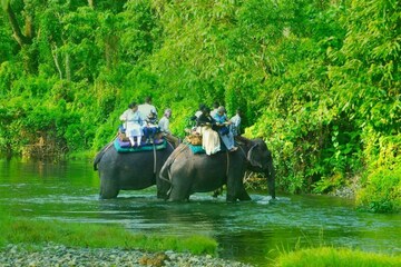 পর্যটকদের পর্যটকদের