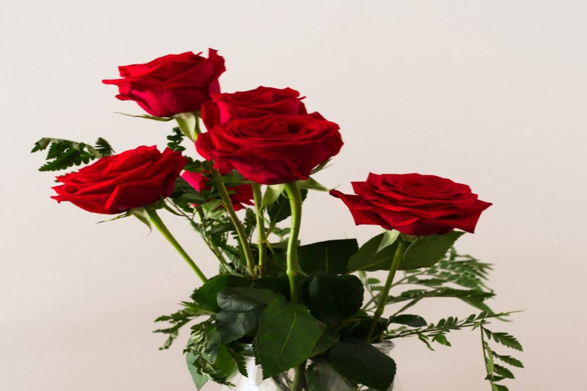 ফুল তাজা রাখতে চান? এই মিশ্রণ ফুলদানিতে ঢালুন! বহুদিন টাটকা থাকবে, ছড়াবে সুগন্ধ!