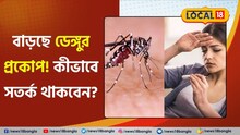 বাড়ছে ডেঙ্গুর প্রকোপ, কীভাবে সতর্ক থাকবেন? ডাঃ অশোক কুমার নন্দীর পরামর্শ
