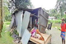 ভাত খাওয়ার মতই নিয়মিত হয়ে দাঁড়িয়েছে ওদের আগমন! তাতেই প্রাণ নিয়ে টানাটানি