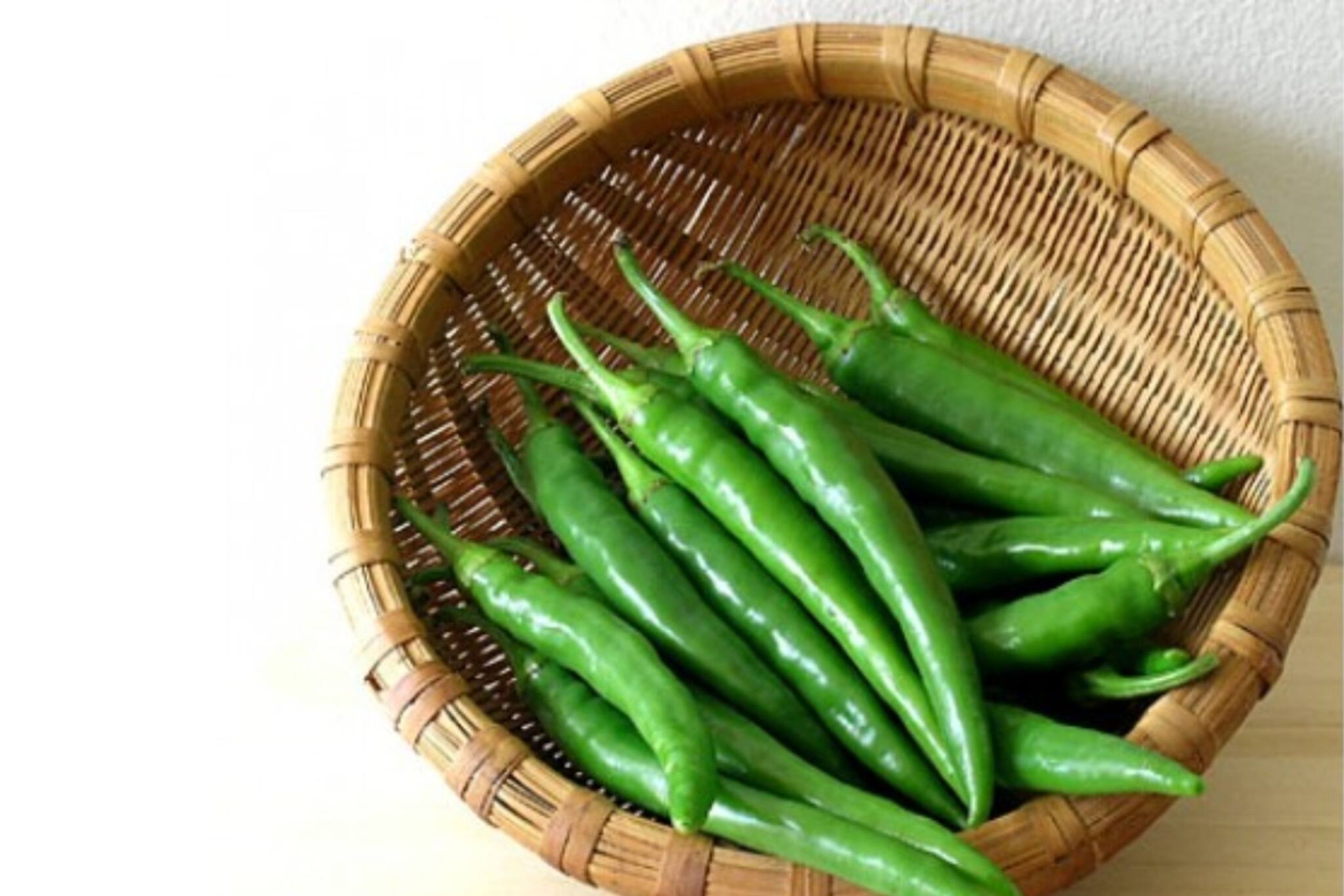 জগৎ মুখার্জি পার্কের ৮৭তম পুজোয় শিল্পের ছোঁয়া, ফুলকুমারীদের জীবনগাথা মণ্ডপসজ্জায়