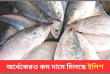 অর্ধেকেরও কম দামে ‘এখানে’ বিক্রি হয় কেজি-কেজি ইলিশ