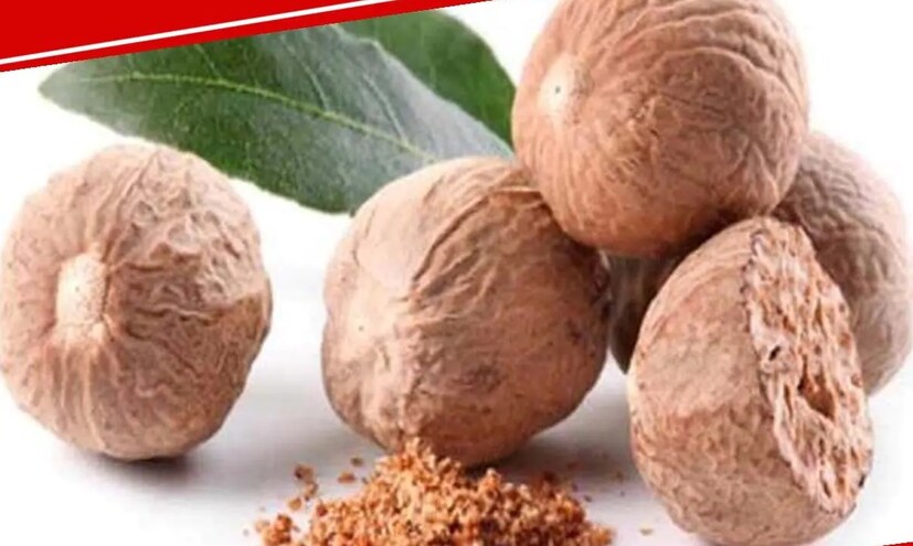 জায়ফল: হেঁচকি প্রতিরোধে অত্যন্ত কার্যকরী অস্ত্র হতে পারে জায়ফল। যদিও এটা সুগন্ধী মশলা হিসেবে ব্যবহার করা হয়। এর পাশাপাশি তেলের মধ্যে জায়ফল মিশিয়ে শিশুদের মালিশও করলেও উপকার পাওয়া যায়। আয়ুর্বেদ শাস্ত্রে জায়ফল ব্যবহার করে নানা রোগের চিকিৎসা করা সম্ভব। আর এটা হেঁচকিও দ্রুত বন্ধ করতে পারে।