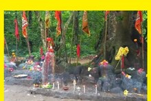 জঙ্গলে পথের মধ্যেই মহাকাল মন্দিরে পুজো দিলেই হয় কার্যসিদ্ধি, দেখুন ভিডিও