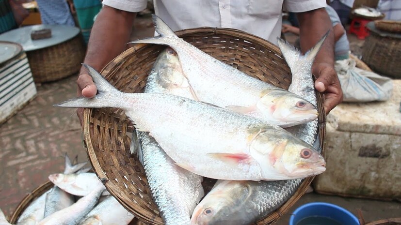 ইতিমধ্যেই বাংলার বাজারে ইলিশের আকাল। কারণ বাংলার সমস্ত ইলিশ চলে যাচ্ছে বাংলাদেশে। বাংলাদেশেই নাকি জালে উঠছে ঝাঁকে ঝাঁকে ইলিশ। এক্ষেত্রে বাংলায় ইলিশের দাম যে আরও বাড়তে চলেছে তা নিঃসন্দেহে।