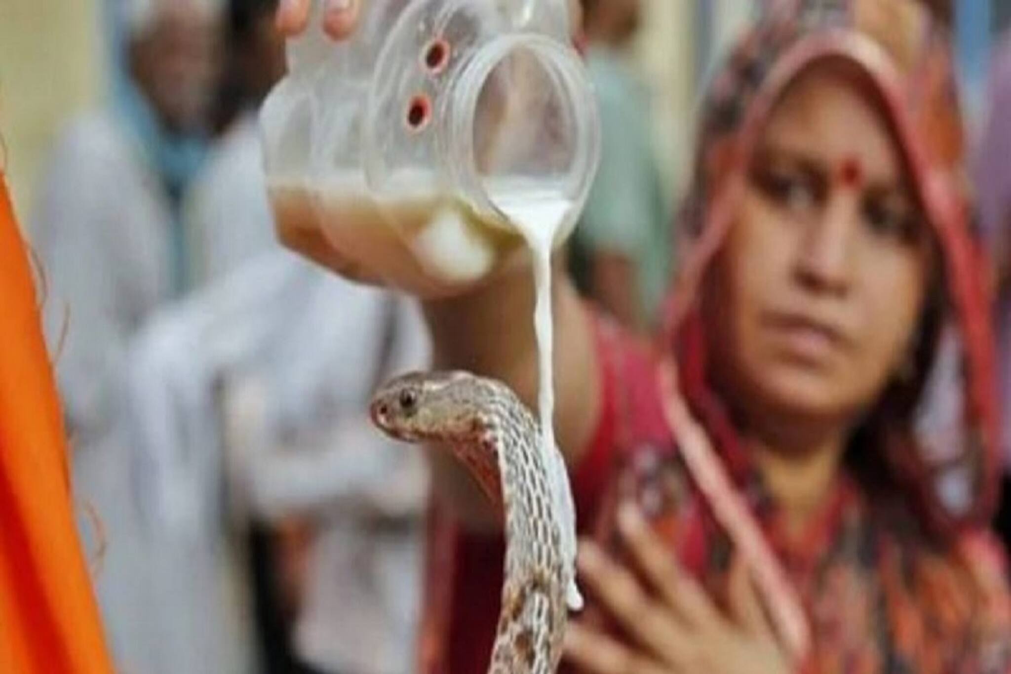 কালসর্প দোষে জীবন নাজেহাল? শ্রাবণে তৈরি বিশেষ সংযোগ, আমূল আলোড়ন জীবনে