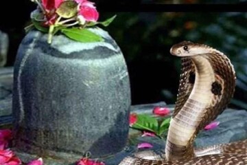 কালসর্প দোষে জীবন নাজেহাল? শ্রাবণে তৈরি বিশেষ সংযোগ, আমূল আলোড়ন জীবনে