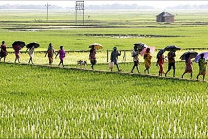 নন্দীগ্রামে ফের জমি আন্দোলন?