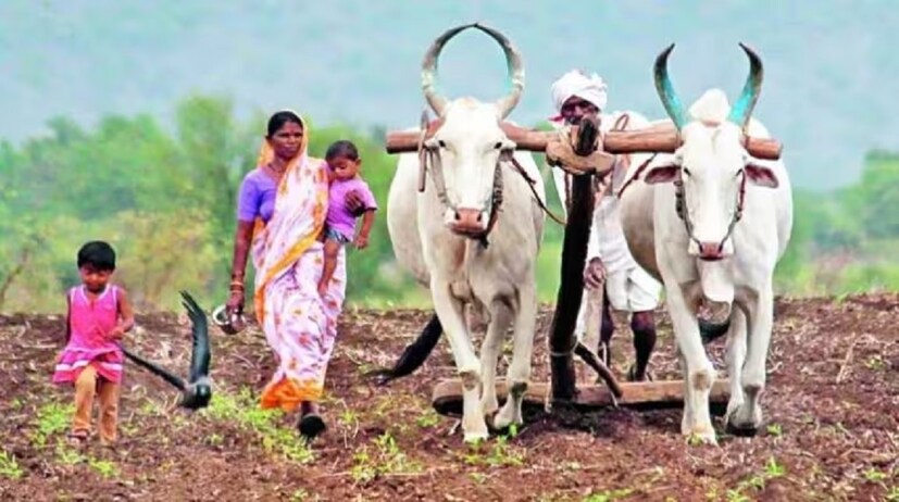এমনিতে পিএম কিষাণ সম্মান নিধি যোজনার অধীনে কৃষকরা বার্ষিক ৬০০০ টাকা পেয়ে থাকেন। বছরে তিনটি কিস্তিতে ২০০০ টাকা করে পান তাঁরা।