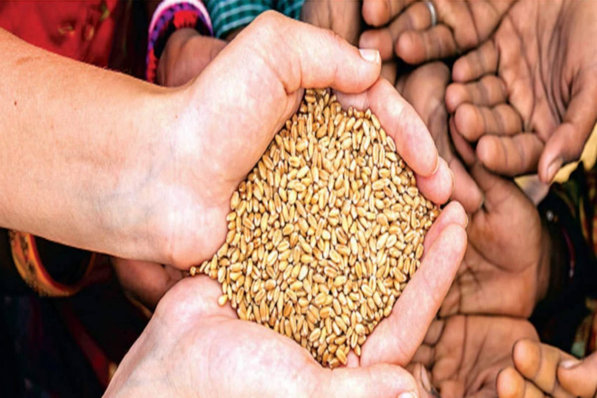 কোটি কোটি পরিবারের জন্য সুখবর! মাসে মাসে এবার বিনামূল্যে চিনি, তেল, মশলা, ডাল