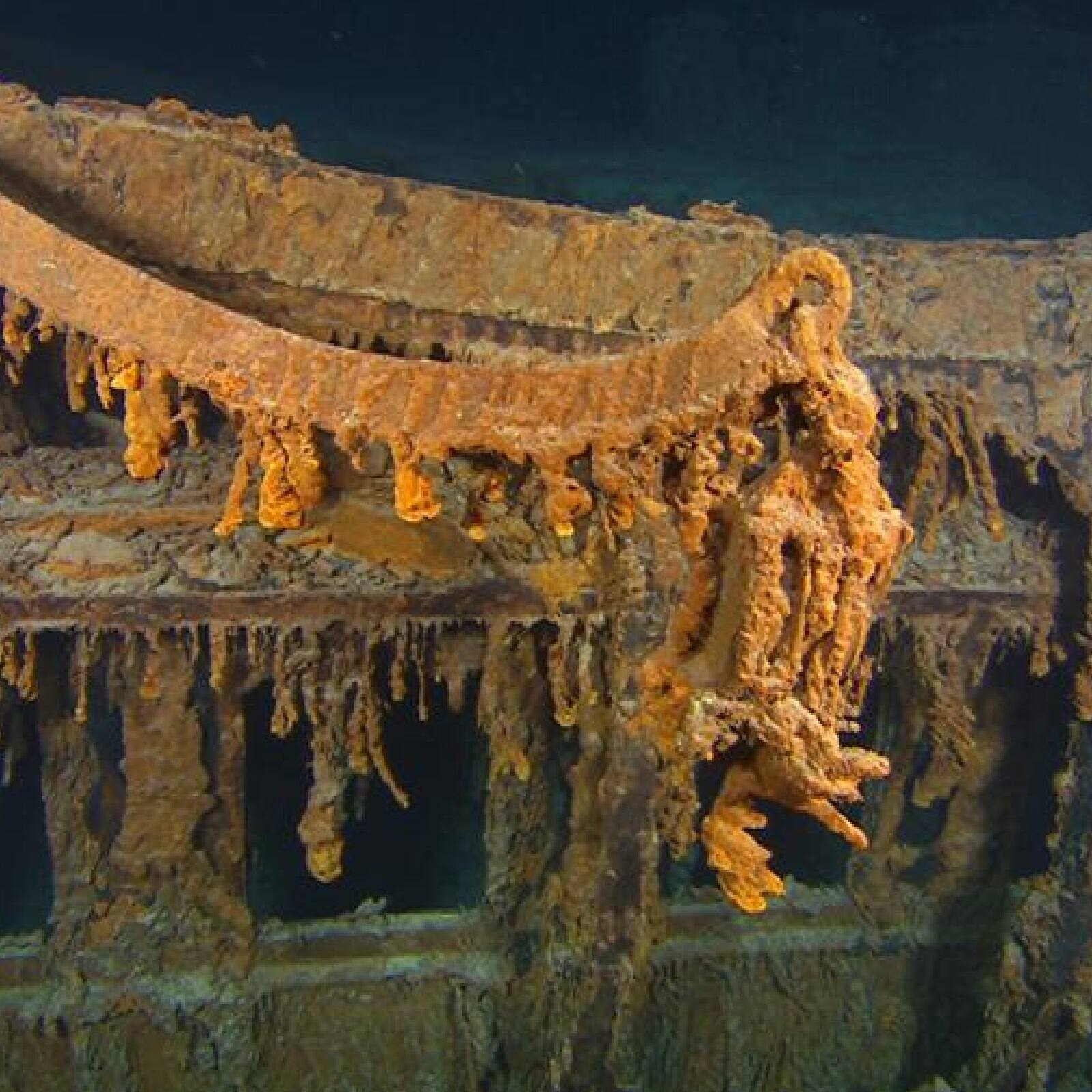 bacteria is eating titanic ship iron metal, টাইটানিকের লোহা খেয়ে বেঁচে