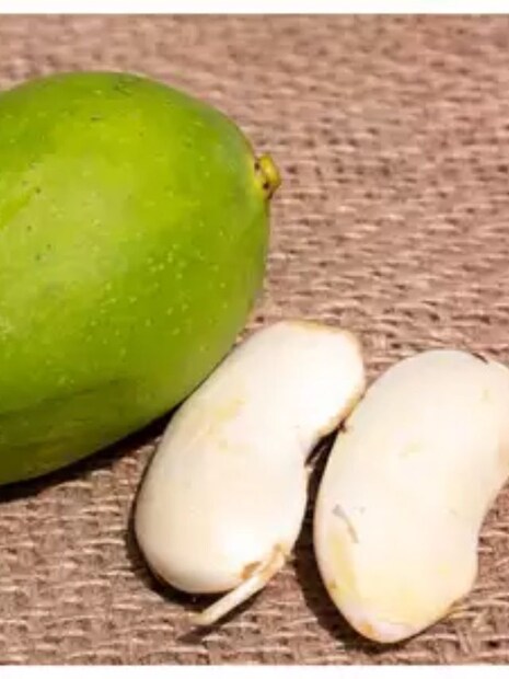 শুধু ত্বক নয়, চুলের জন্যও বেশ উপকারী আম৷ এতে থাকা ভিটামিন ই চুলের স্ক্যাল্প ভাল রাখে, চুলের গ্রোথ বাড়ায়৷ চুল নরম হয়৷ 