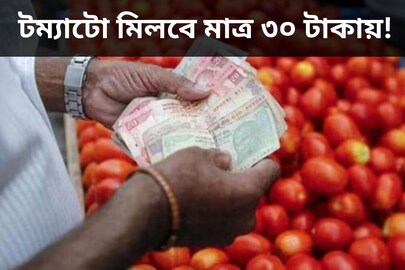 টম্যাটো মিলবে মাত্র ৩০ টাকায়! কবে আসতে চলেছে সেই সুসময়? এখনই জেনে নিন
