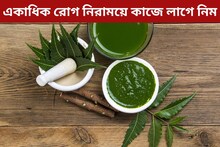 পাতা, ফল, ছাল, নিমের কিছুই ফেলনা নয়! একাধিক রোগ নিরাময়ে কীভাবে ব্যবহার করবেন?
