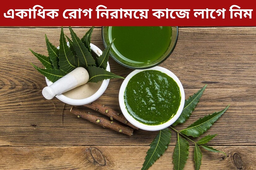 প্রাচীন কাল থেকেই ওষুধ হিসেবে আয়ুর্বেদে গাছ গাছালির ব্যবহার করা হয়৷ এর মধ্যে নিম গাছ অন্যতম৷ পাতা, বাকল থেকে শুরু করে ফল, নিম গাছের প্রতিটি অংশ ওষধিয় গুণ সম্পন্ন৷ অ্যান্টিবায়োটিক উপাদানে ভরপুর নিম স্বাস্থ্যের জন্য খুবই কার্যকরী। এই কারণেই ভারতীয় বেদে নিমকে ‘সর্বরোগ নিবারণী’ বলা হয়, যার অর্থ সমস্ত রোগ নিরাময়কারী। 