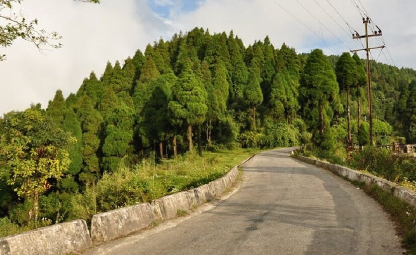 আকাশের মুখ ভার না থাকলে অবশ্য কাঞ্চনজঙ্ঘা হতাশ করবে না আপনাকে। সূর্যোদয় আর সূর্যাস্ত দেখার স্বর্গীয় অভিজ্ঞতা এখানে না গেলে মিস করবেন। বাহারি ফুল ছাড়াও প্রচুর পাখি চোখে পড়বে এখানে। ফায়ার-টেল্‌ড সানবার্ডের মতো বিরল প্রজাতির পাখিও।(লেখা ও ছবি: অনির্বাণ রায়)