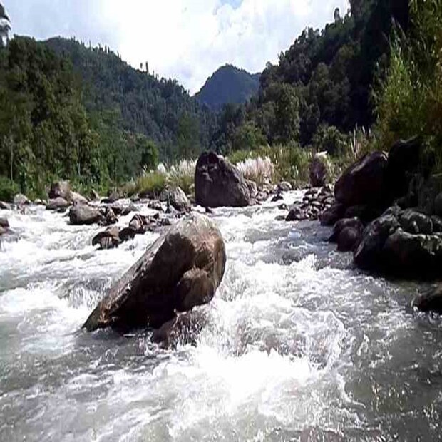 রডোডেনড্রন আর ম্যাগনেলিয়ার মাঝে সরু রাস্তা। ফালুট থেকে শ্রীখোলা ৩০ কিলোমিটার দূরত্ব। 